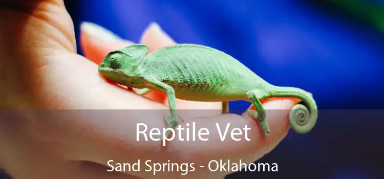Reptile Vet Sand Springs - Oklahoma