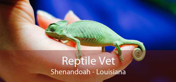 Reptile Vet Shenandoah - Louisiana