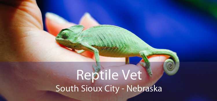 Reptile Vet South Sioux City - Nebraska
