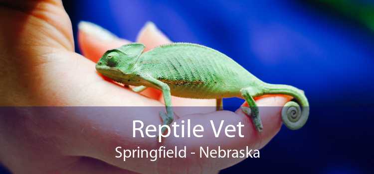 Reptile Vet Springfield - Nebraska
