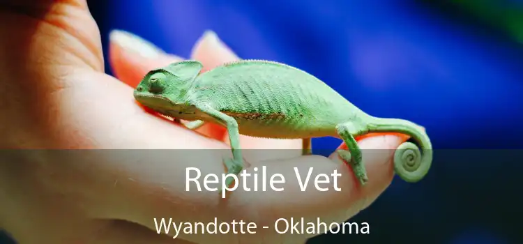 Reptile Vet Wyandotte - Oklahoma