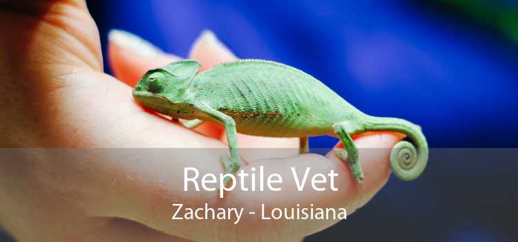 Reptile Vet Zachary - Louisiana