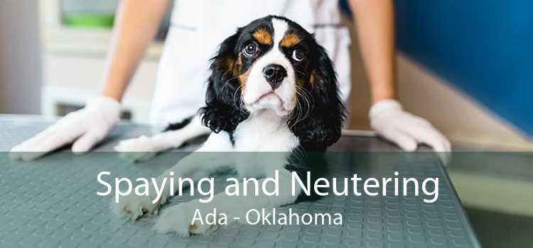 Spaying and Neutering Ada - Oklahoma