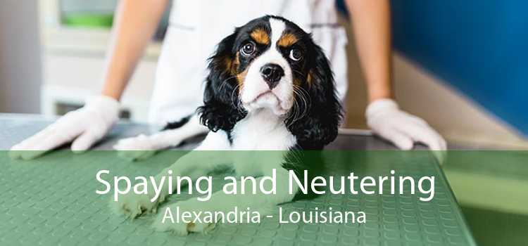 Spaying and Neutering Alexandria - Louisiana