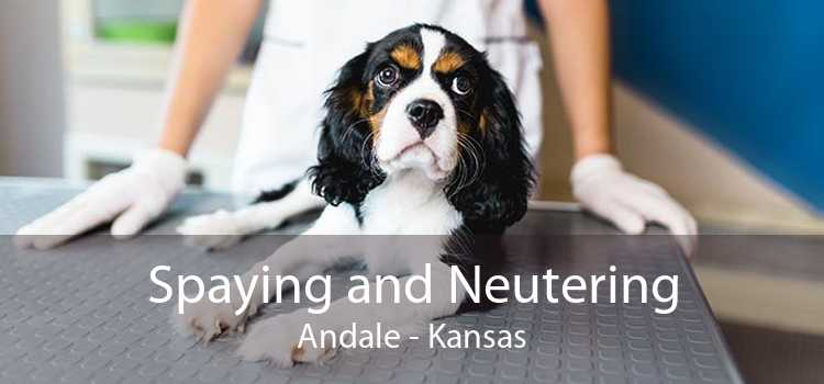 Spaying and Neutering Andale - Kansas