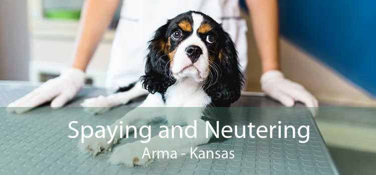 Spaying and Neutering Arma - Kansas