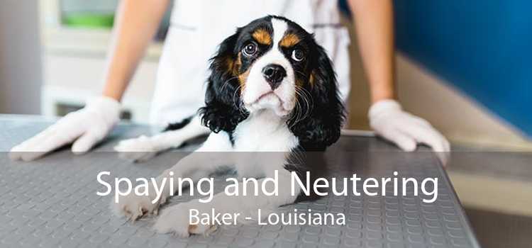 Spaying and Neutering Baker - Louisiana