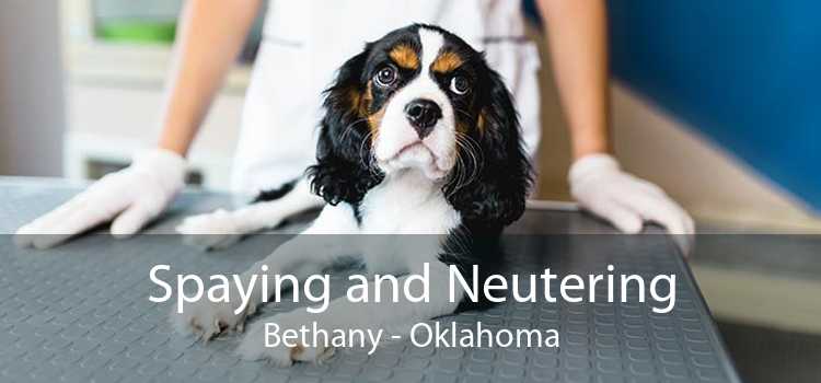 Spaying and Neutering Bethany - Oklahoma