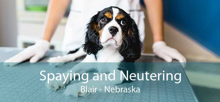 Spaying and Neutering Blair - Nebraska