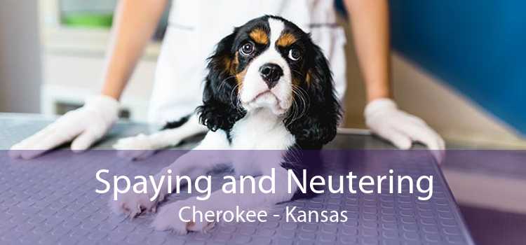 Spaying and Neutering Cherokee - Kansas