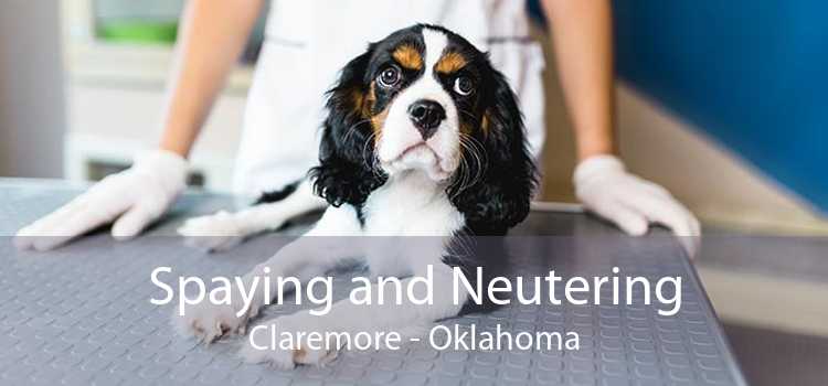 Spaying and Neutering Claremore - Oklahoma