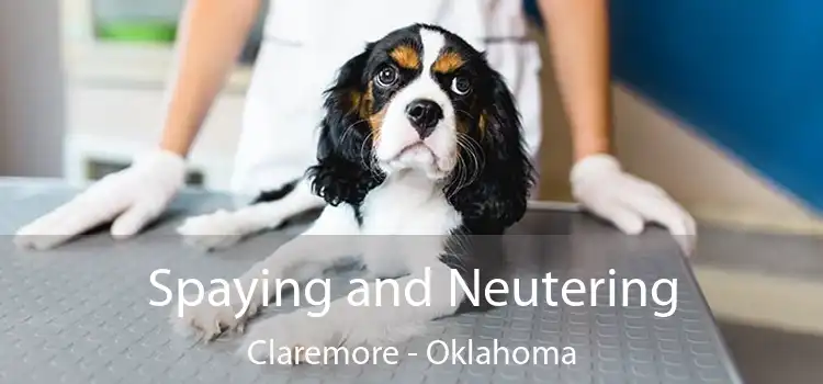 Spaying and Neutering Claremore - Oklahoma