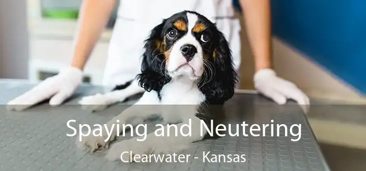 Spaying and Neutering Clearwater - Kansas