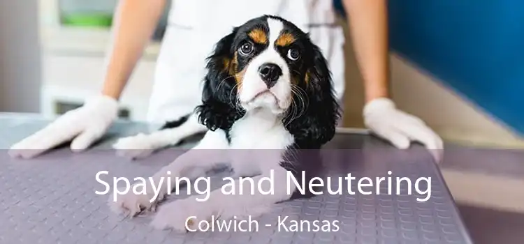 Spaying and Neutering Colwich - Kansas