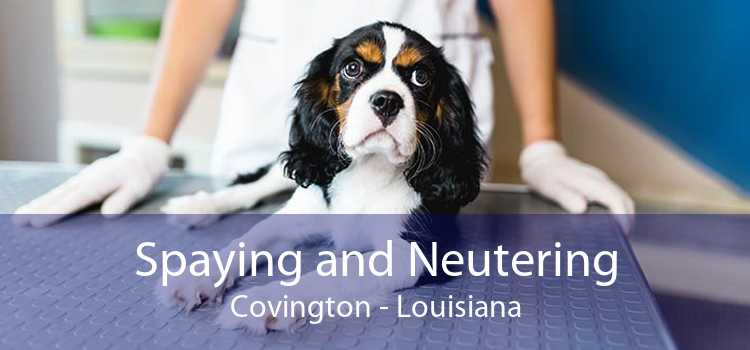 Spaying And Neutering Covington - Low Cost Pet Spay And Neuter Clinic