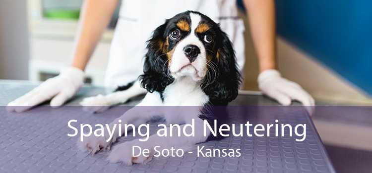 Spaying and Neutering De Soto - Kansas