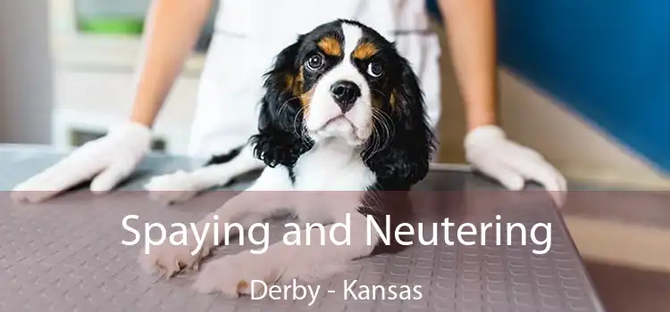 Spaying and Neutering Derby - Kansas