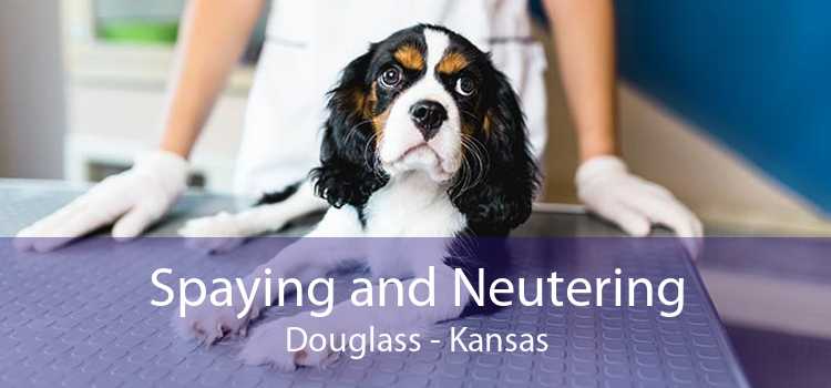 Spaying and Neutering Douglass - Kansas
