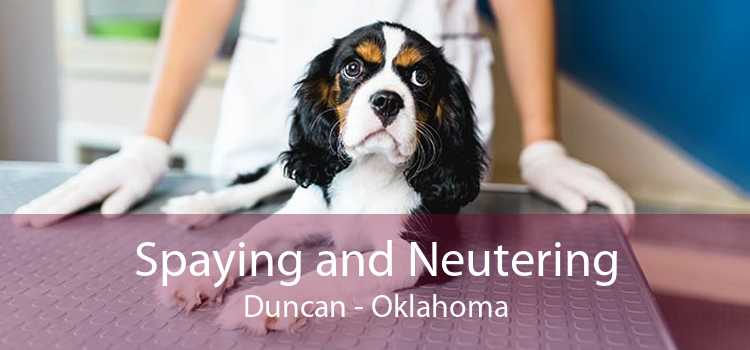 Spaying and Neutering Duncan - Oklahoma