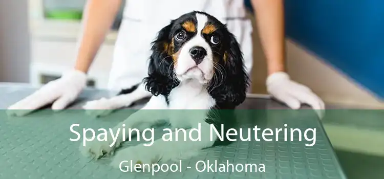 Spaying and Neutering Glenpool - Oklahoma