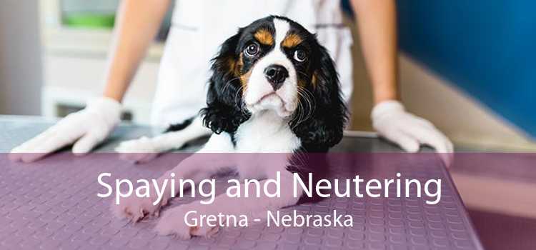 Spaying and Neutering Gretna - Nebraska
