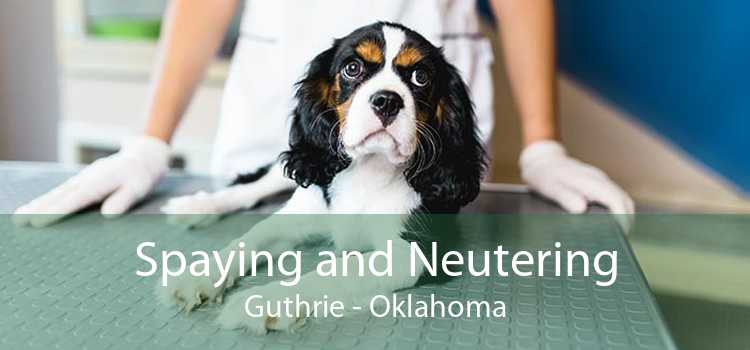 Spaying and Neutering Guthrie - Oklahoma