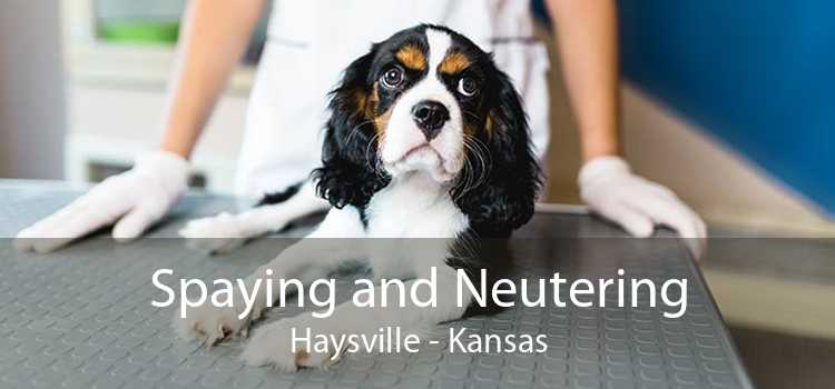Spaying and Neutering Haysville - Kansas