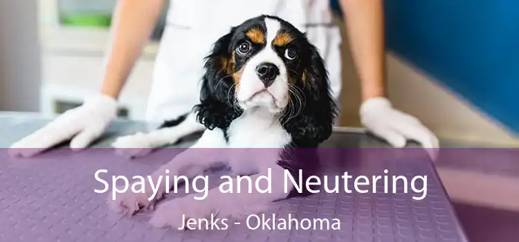 Spaying and Neutering Jenks - Oklahoma