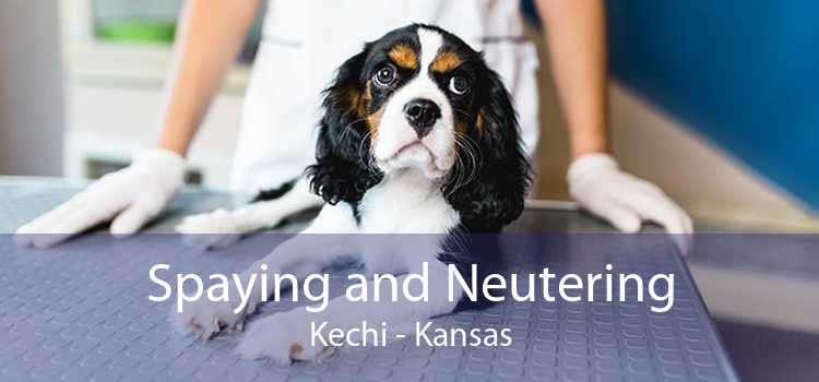 Spaying and Neutering Kechi - Kansas