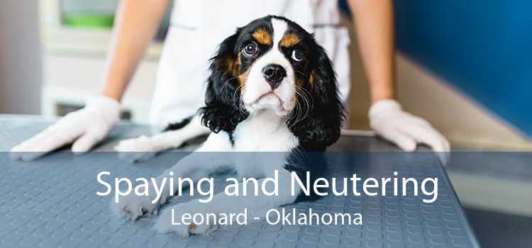 Spaying and Neutering Leonard - Oklahoma