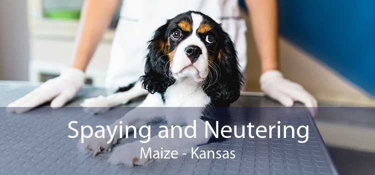 Spaying and Neutering Maize - Kansas