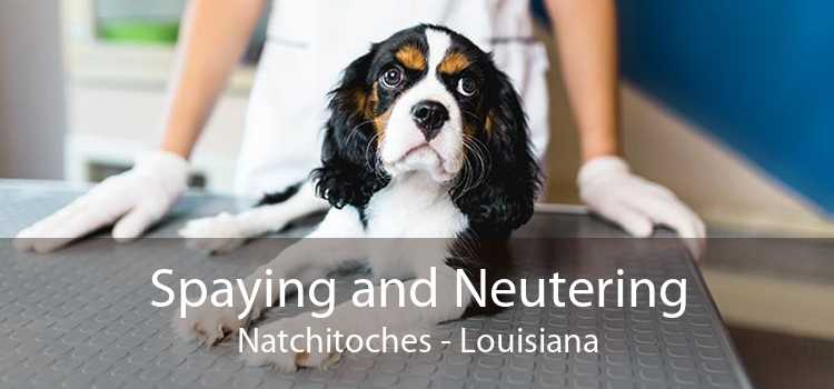 Spaying and Neutering Natchitoches - Louisiana