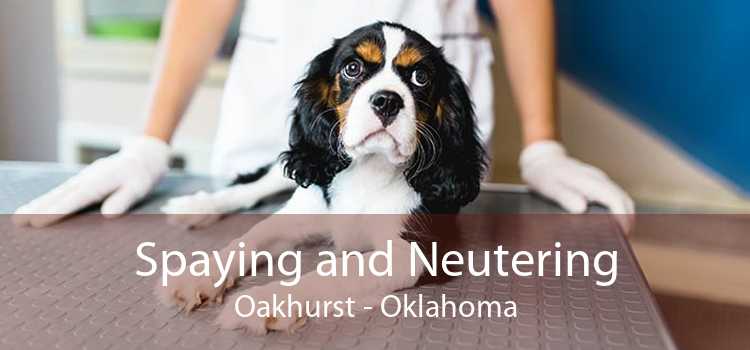 Spaying and Neutering Oakhurst - Oklahoma