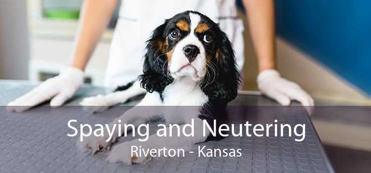 Spaying and Neutering Riverton - Kansas