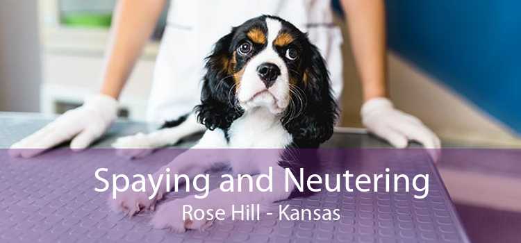 Spaying and Neutering Rose Hill - Kansas