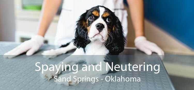 Spaying and Neutering Sand Springs - Oklahoma