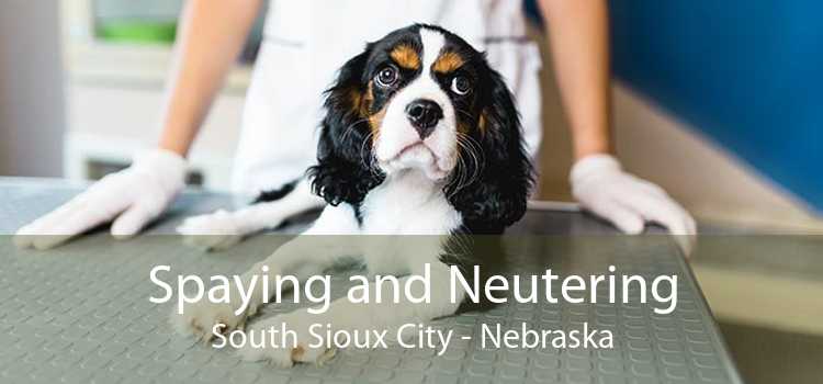 Spaying and Neutering South Sioux City - Nebraska
