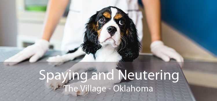 Spaying and Neutering The Village - Oklahoma