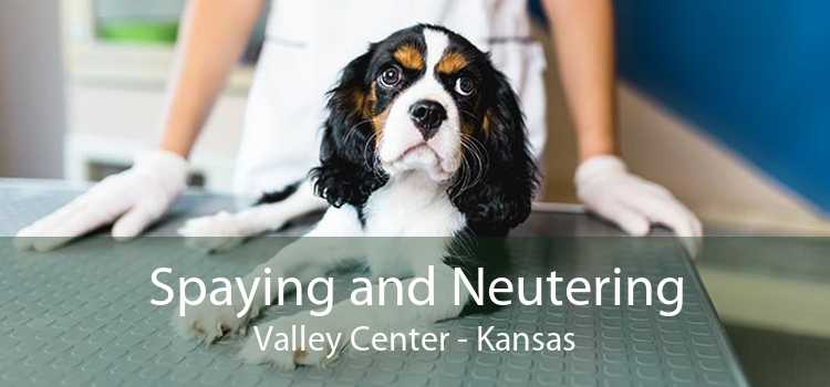 Spaying and Neutering Valley Center - Kansas