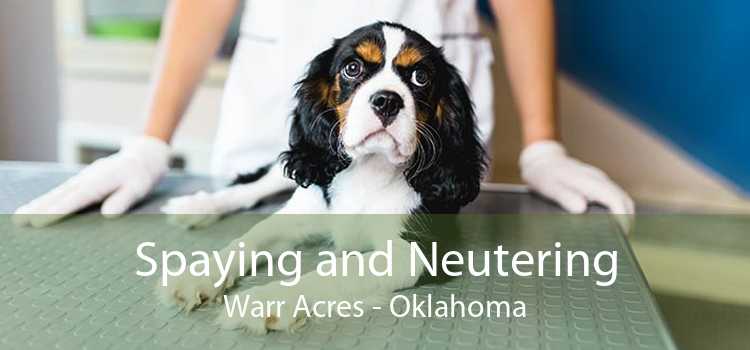 Spaying and Neutering Warr Acres - Oklahoma