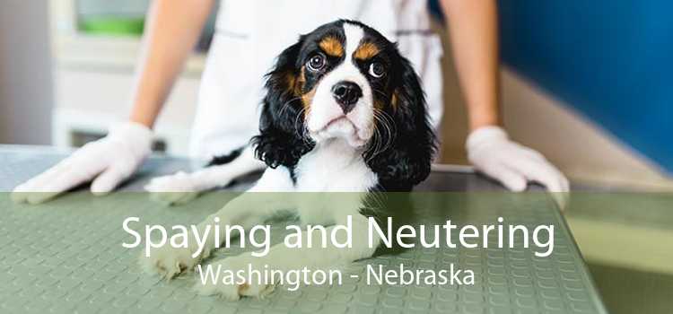 Spaying and Neutering Washington - Nebraska