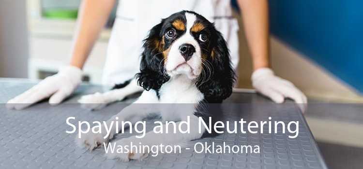 Spaying and Neutering Washington - Oklahoma