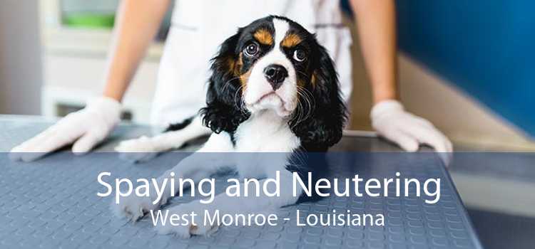 Spaying and Neutering West Monroe - Louisiana