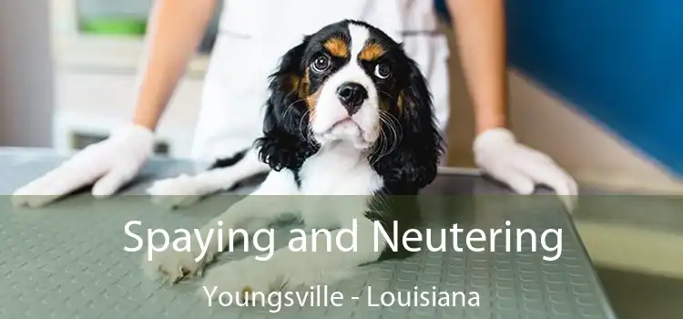 Spaying and Neutering Youngsville - Louisiana
