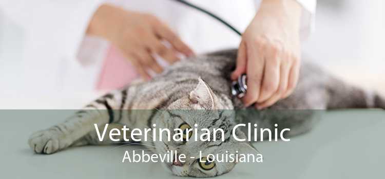 Veterinarian Clinic Abbeville - Louisiana