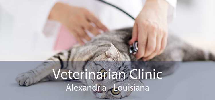 Veterinarian Clinic Alexandria - Louisiana