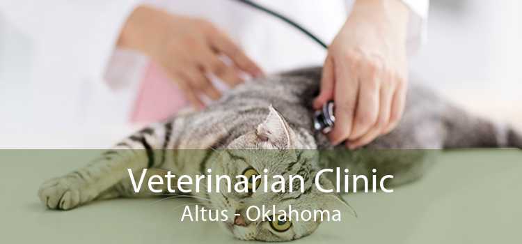 Veterinarian Clinic Altus - Oklahoma