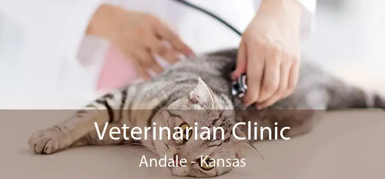 Veterinarian Clinic Andale - Kansas