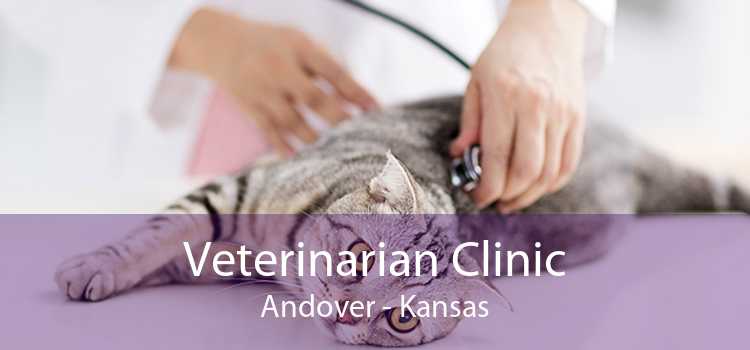 Veterinarian Clinic Andover - Kansas