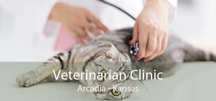 Veterinarian Clinic Arcadia - Kansas